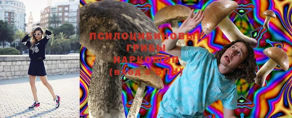 стафф Абдулино