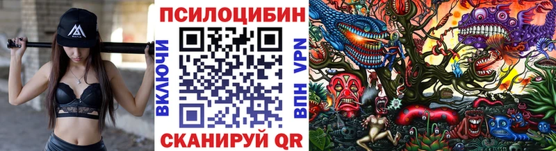 kraken рабочий сайт  Болгар  Псилоцибиновые грибы Psilocybe 
