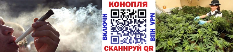 даркнет сайт Болгар Шишки марихуана гибрид